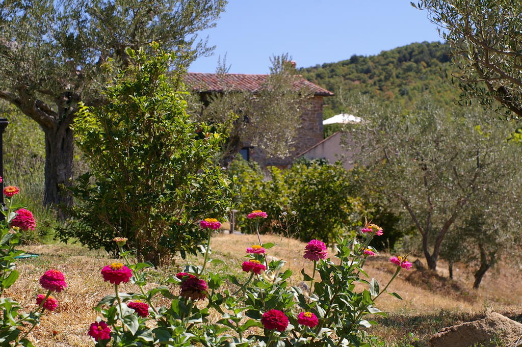 La Casa Di Piandelbello Villa San Venanzo Exteriör bild